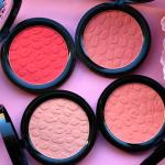 Technic Matte Blusher