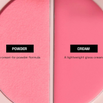 Technic Coupled Up Blush Duo